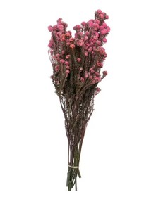 lot 116 image: Pallet of Store Overstock Vickerman Product and Returns - UNPROCESSED