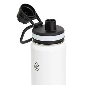 lot 189 image: NEW Thermoflask 24 oz. Stainless Steel Water Bottle Set, 2-pack