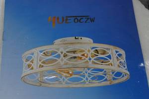 lot 17 image: Hueoczw 20 Caged Ceiling Fan with Lights and Remote