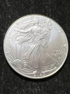 lot 14 image: 2025 AMERICAN SILVER EAGLE 1 TROY OZ .999 FINE SILVER