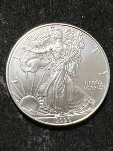 lot 71 image: 2020 AMERICAN SILVER EAGLE 1 TROY OZ .999 FINE SILVER