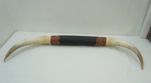 lot 1 image: Longhorn Steer Horns 44 long
