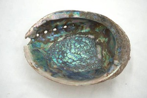 lot 28 image: Abalone Shell