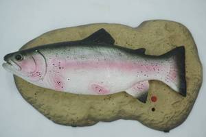 lot 35 image: Travis The Singing Trout