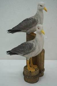 lot 108 image: Seagull Statue 16x6