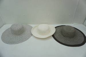 lot 122 image: (3ct) Ladies Woven Hats
