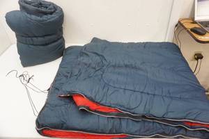 lot 257 image: (2ct) Coleman Sleeping Bags