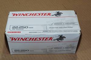 lot 194 image: 40 Winchester .22-250 Rem 45 Gr JHP Ammo