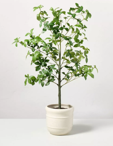 lot 156 image: LOT OF 2 33 Faux Potted Gypsophila Leaf Tree - Hearth & Hand