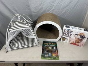 lot 63 image: Cat Tent, Cat Lady Action Figure, Cat Scratcher, Cat Hat Gag-Gift Box