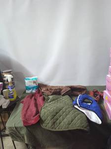 lot 6 image: Collection of Pet Supplies including Dog Coats and Disposable Diapers