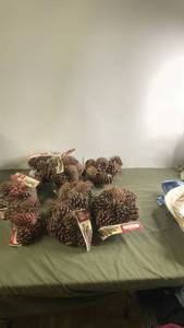 lot 142 image: Assorted Cinnamon Scented and Glitter Pine Cones