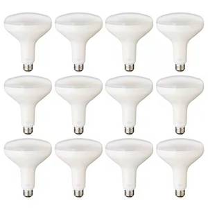 lot 4-I2025 image: 75-Watt Equivalent BR40 Dimmable LED Light Bulb Daylight (12-Pack)