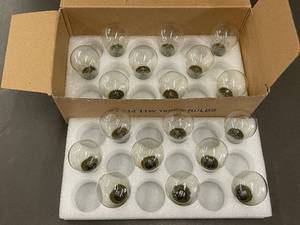 lot 47 image: Box of 18 S14 11W Light Bulbs