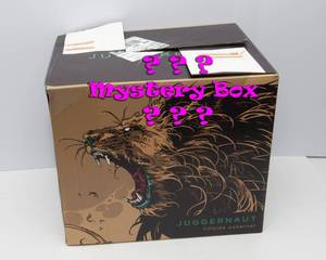 lot 537 image: Mystery Box #3
