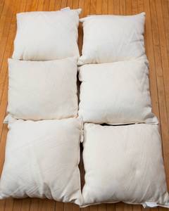 lot 543 image: Ivory Pillows - Set of Six
