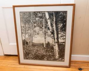 lot 795 image: Framed and Matted Photographic Black and White Print signed by Sawyer (25 x 30)