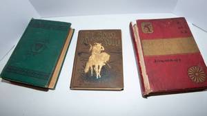 lot 833 image: A set of Three Antique Books including The Story of the American Indian (1887)