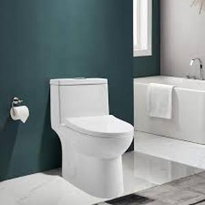 lot 62 image: BWE One-Piece 0.81.28 GPF Dual Flush Round Modern Elongated Toilet Soft Closing Seat in White Soft Close Seat Included   Customer Returns See Pictures