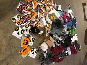 lot 36 image: Lot of Assorted Seasonal Halloween Items Various Models and Conditions Customer Returns See Pictures