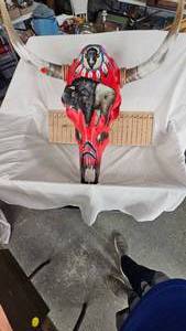 lot 28 image: Hand Painted Long Horn Skull