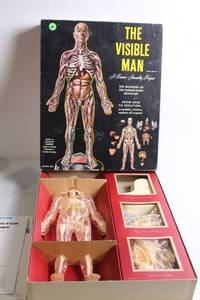 lot 333 image: The Visible Man Anatomical Model Kit - Vintage Educational Display