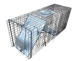 lot 138 image: Large Steel Wire Animal Trap Cage with Spring Door