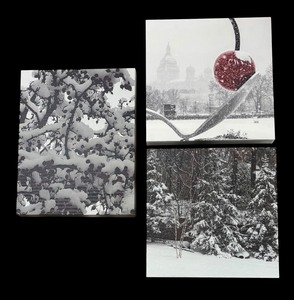 lot 153 image: Three Wintery Scene Canvas Photographic Prints