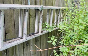 lot 183 image: Metal Extension Ladder