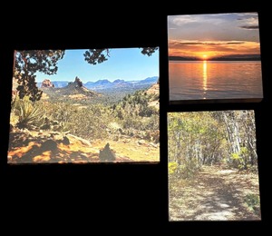 lot 288 image: Three Scenic Canvas Prints
