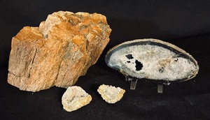 lot 316 image: Pretty Petrified Wood and Crystalized Rocks