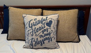 lot 377 image: Variety of Accent Pillows