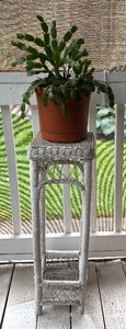 lot 416 image: Pretty Wicker Plant Stand with Real Christmas Cactus Plant