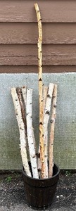 lot 475AA image: Wood Look Bucket with White Birch Decorative Poles