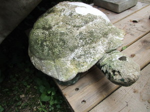 lot 85 image: Ceramic Turtle, Damaged