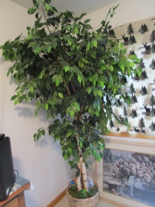 lot 8 image: Artificial Birch Tree