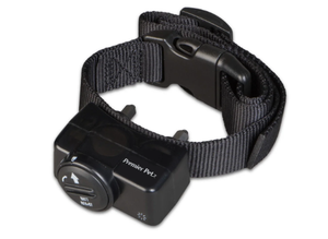 lot 335 image: Premier Pet Wireless Add-A-Dog Replcement Collar for Wireless Fence, Adjustable