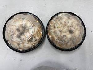 lot 23 image: E. 2x Salted Carmel Chocolate Pies