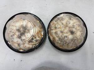 lot 26 image: E. 2x Salted Carmel Chocolate Pies