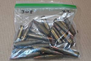 lot 290 image: 22 .308 Win SP Ammo