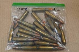 lot 291 image: 22 .308 Win SP Ammo