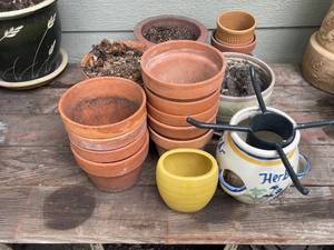 lot 667 image: Collection of Garden Pots in Terracotta and Ceramic
