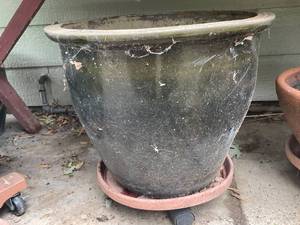 lot 669 image: Large Weathered Ceramic Planter Pot on Caster Stand