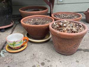 lot 670 image: Set of Decorative Terracotta Planters and Ceramic Cup Planter