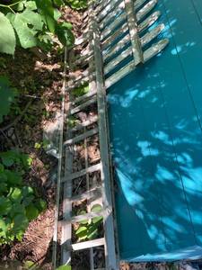 lot 110 image: Extendable Aluminium Ladder
