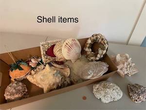 lot 242 image: Collection of Decorative Sea Shells and Ornaments