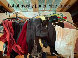 lot 309 image: Collection of Large-Size Pants and Clothing Items