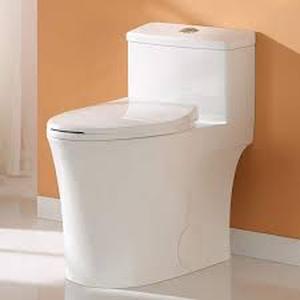 lot 16 image: HOROW 1-piece 0.81.28 GPF Dual Flush Elongated Toilet in White Seat Included    Customer Returns See Pictures