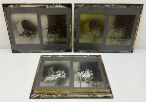 lot 134 image: Vintage Glass Negative 16 x 20 With Floral Images