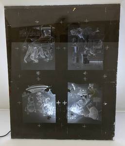 lot 137 image: Vintage Glass Negative 16 x 20 Circus Monkeys & Elephant Images